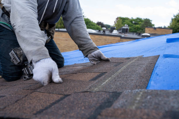 Roof Gutter Cleaning in Rock Hill, NY